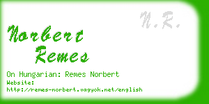 norbert remes business card